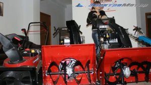 Снегоуборщики канадиана (canadiana)