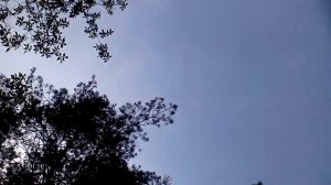 Футбольным мячом в голову