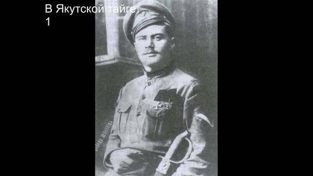 В Якутской тайге.
