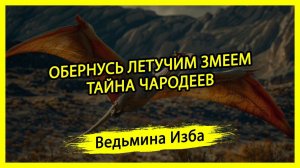 ОБЕРНУСЬ ЛЕТУЧИМ ЗМЕЕМ. ТАЙНА ЧАРОДЕЕВ. ДЛЯ ВСЕХ. #ВЕДЬМИНАИЗБА ▶️ #МАГИЯ