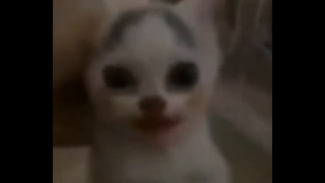 блин аладик анекдот смотреть онлайн