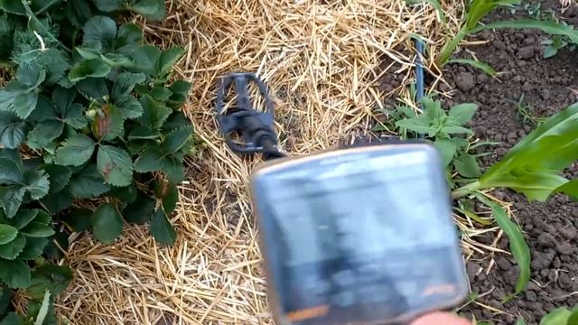 Люди обратились о помощи, найти обручальное колечко 15 июня смотреть онлайн