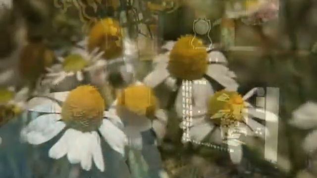 Самое земное клип смотреть онлайн