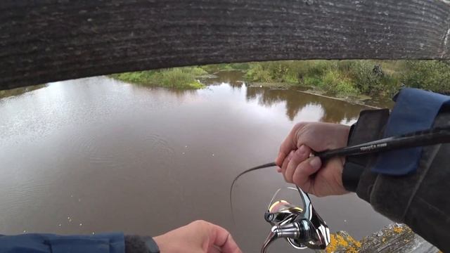 ЛОВЛЯ язя НА спиннинг Торфяная река хранит много секретов смотреть онлайн