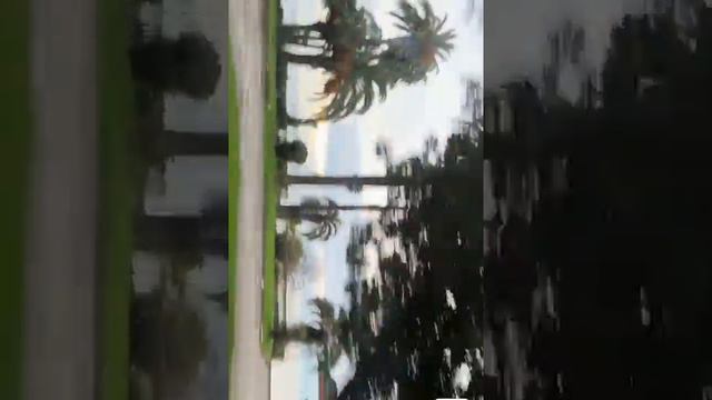 Абхазия-райский островок. Так и говорят местные жители. Начнём с Гагр . Вместе будет интереснее. смотреть онлайн