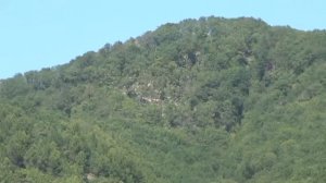 Юг.Море.Головинка.