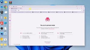 How To Browse In Incognito Mode On Opera GX Browser | Private Browsing