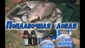 Поплавочная ловля леща и карася