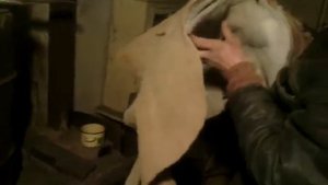 Мягкое седло для лошади, грузовое