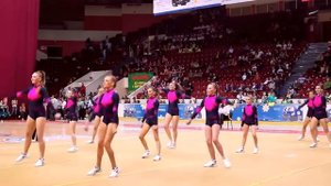 Розовая Пантера Cheerleading Team