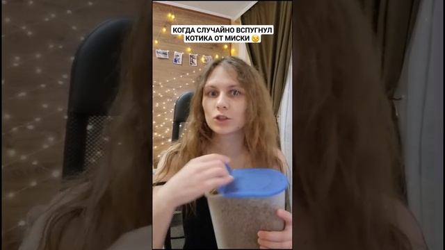 А вы гоняли котиков от миски СЛУЧАЙНО? ? #shorts #юмор