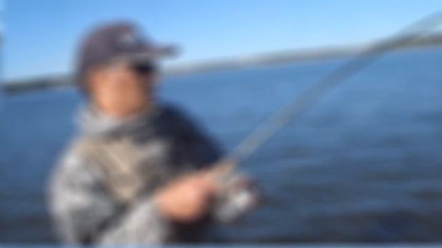 судак на 7.5 кг смотреть онлайн