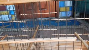 клетка для птиц певчих экзотических канареек