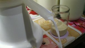 Влог. Перегоняю молоко. Мой сепаратор. Первый раз после отела коров перегоняю молоко Первая сметан