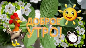 Доброе Утро! Красивая Музыкальная Открытка!