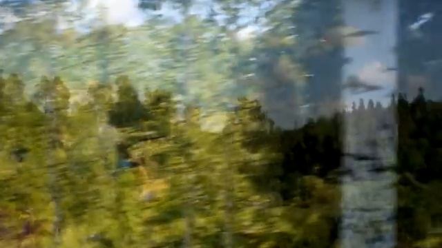 Сиверская Поселок Сиверский