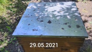 САМЫЙ ПРОСТОЙ СПОСОБ ВЫВОДА МАТОК || ПОКУПКА ПЧЕЛОПАКЕТОВ