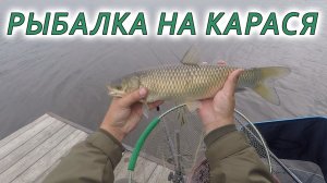 Рыбалка на мерного карася. Фидерная ловля
