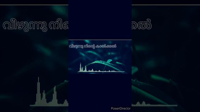 Anuraga Lola Gathri | Dhwani (1988) | Yusufali Kecheri | Noushad Ali Music