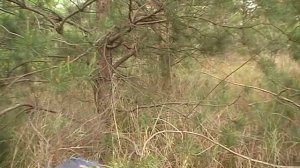 как отбелить лицо и прочь пигментные пятна