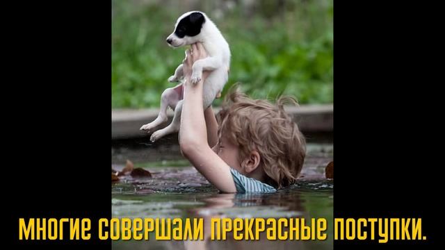 Ролик, который согреет вам душу. Смотреть всем смотреть онлайн