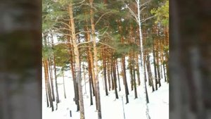 Санаторий РУШ