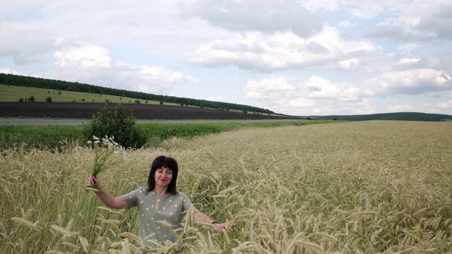 Поле
