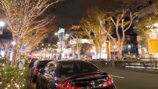 Отдых в Токио с турпорталом Мой Дом Инфо смотреть онлайн