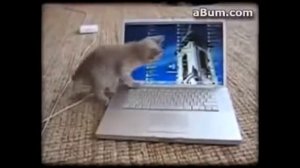 Детки поют и танцуют веселые песенки и танцы!!!