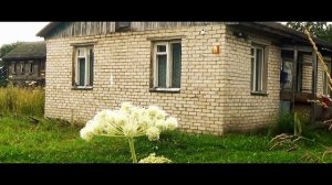 Мой рассказ деревня Большое Кашино Тверская область Селижаровский район