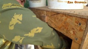 Оставили кур одних на неделю