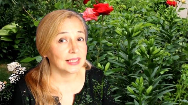 Делюсь секретами: Как подготовить почву для посадки лука на зиму и чем удобрить