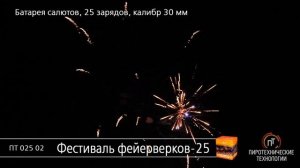 ПТ02502 Фестиваль фейерверков-25