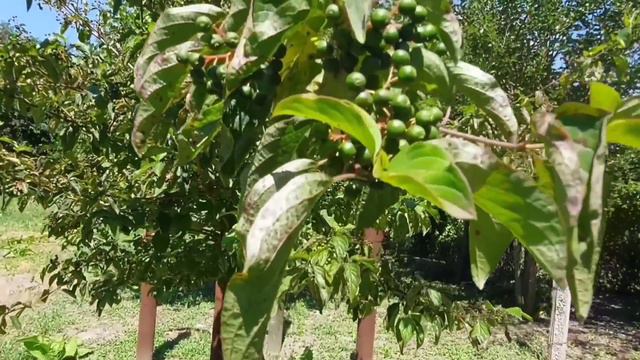 22 июля 2021 г.СЕМЬЯ ОТДЫХАЕТ. смотреть онлайн