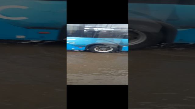 Плавание или сёрфинг ? Вот в чём вопрос)))При такой то ливневке...
