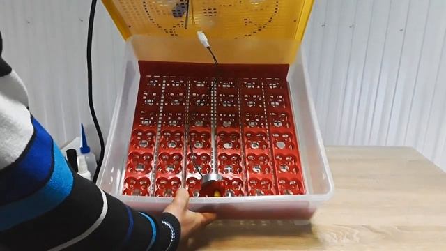 Инкубатор автомат DZE-36/144 смотреть онлайн