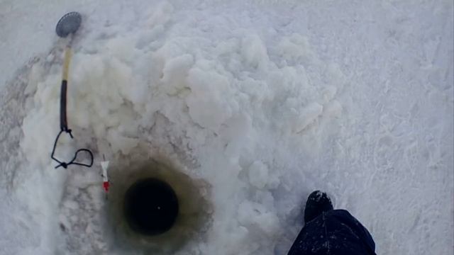 Зимняя рыбалка на р. Амур!!! Январь 2020! Хлопушка против махалки! Хороший улов, щука, ленок!!! смотреть онлайн