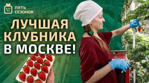 Пять сезонов — лучшая клубника в Москве!