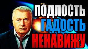 Владимир Жириновский - Подлость, гадость, ненавижу!