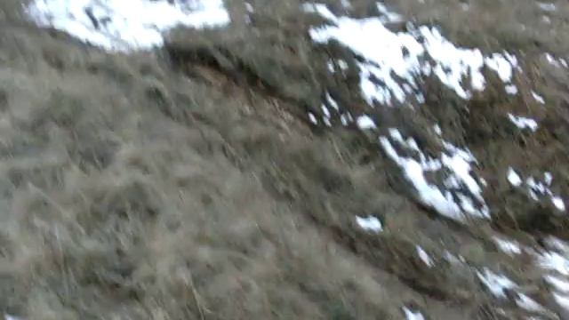 ARO 10.4 смотреть онлайн