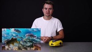 Обзор Chasing Dory