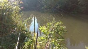 Рыбалка на реке Киргизка.