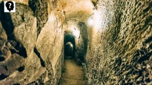 Нас ЗАСЕЛИЛИ как на земле появилось человечество