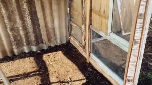 ДОМИК ДЛЯ КУР БЕЗ ЗАТРАТ??♀️ЛЕТНЕЕ СОДЕРЖАНИЕ КУР?♀️?#жизнь в деревне#строим без затрат#