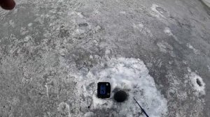 ФОРЕЛЬ на ВИБы. ЭТО НЕЗАБЫВАЕМАЯ РЫБАЛКА и МОРЕ ПОЗИТИВНЫХ ЭМОЦИЙ! ЛОВЛЯ ФОРЕЛИ на ПЛАТНИКЕ со льда