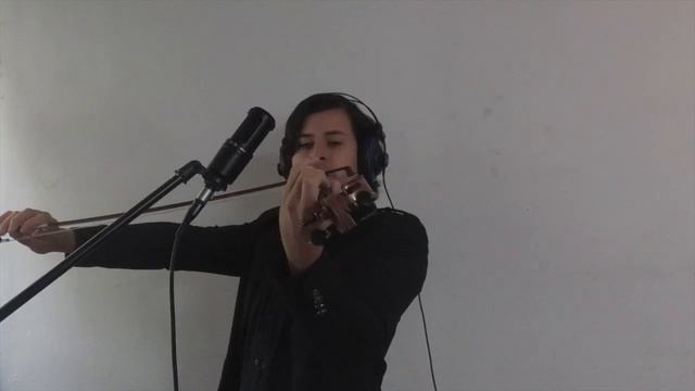 Toss a Coin To Your Witcher (Jaskier Song) Violin Cover смотреть онлайн