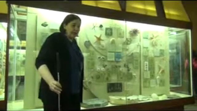 лекция Е М Тесаковой иглокожие, рыбы смотреть онлайн