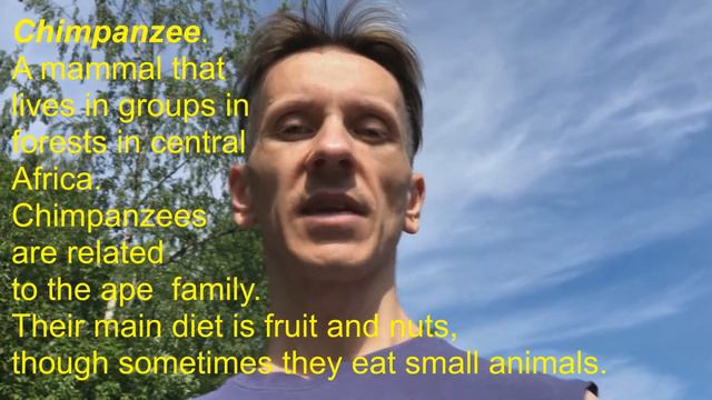 24 Учимся читать CHIMPANZEE смотреть онлайн