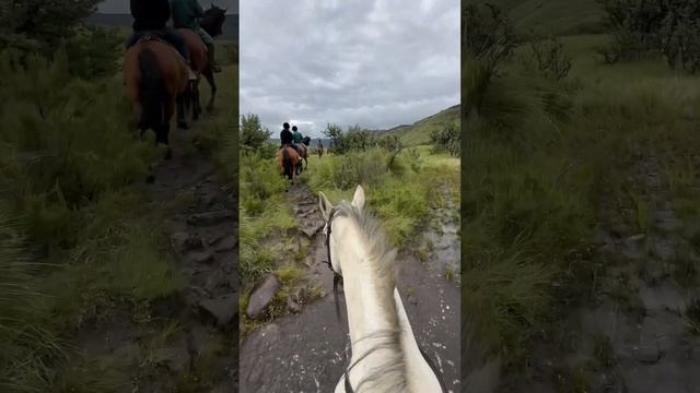 Seeing the mountains and crossing rivers on horse back was quite an amazing experience #drakensberg