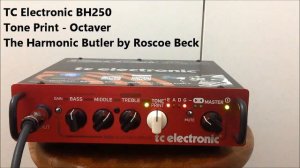 TC Electronic BH250 Octaver Roscoe Beck
